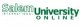 Salem International University & SalemWired Online